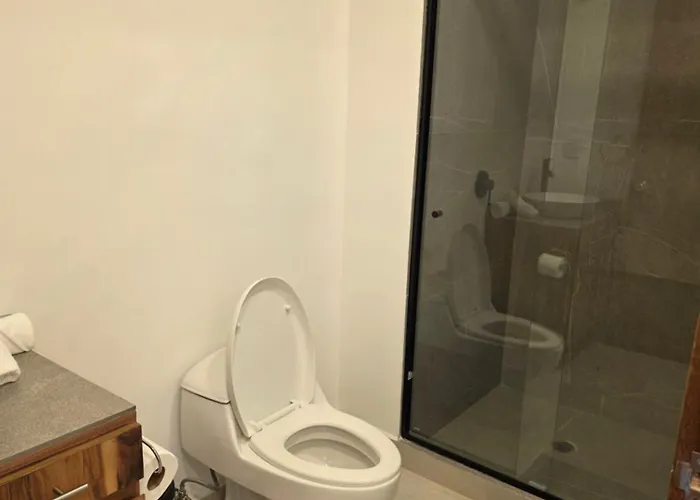Apartment Modern In Miguel Hidalgo With Balcony Mexico City